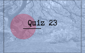 Quiz 23: presente affermativo piano e cortese